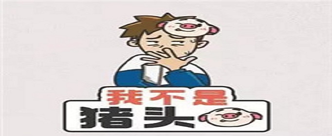 我不是猪头答案是什么(我不是猪头答案大全)