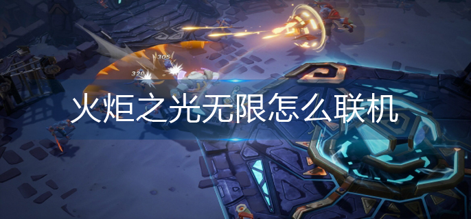 火炬之光无限怎么联机(联机方法)