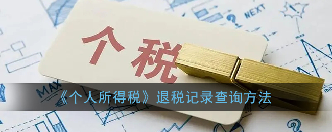 个人所得税怎么查退税记录(退税记录查询方法)