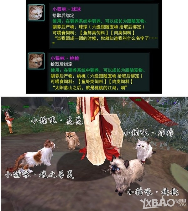 《剑网3》明教隐藏任务猫咪跟宠获取攻略
