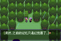 口袋妖怪漆黑的魅影5.0图文攻略