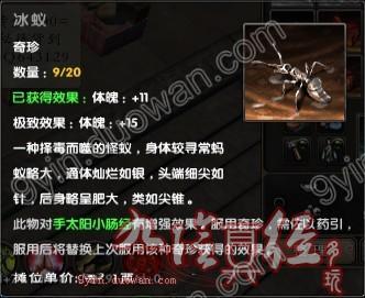 九阴目前所有奇珍 食用效果及使用方法