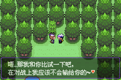 口袋妖怪漆黑的魅影5.0图文攻略