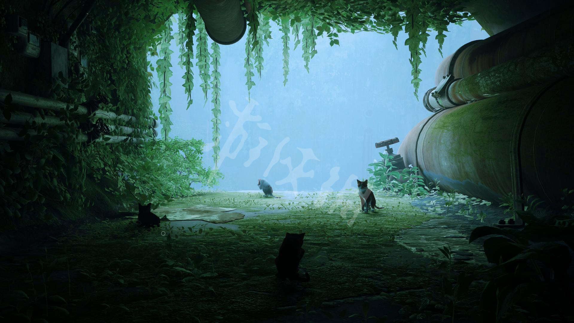 迷失stray攻略大全(全流程/记忆/密码/结局大全)