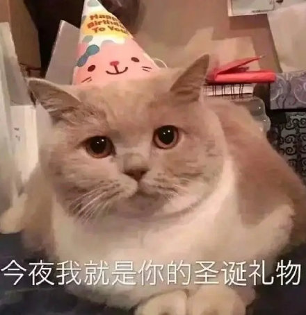 圣诞节祝福图片表情包汇总