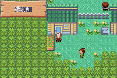 口袋妖怪漆黑的魅影4.5一周目全图文流程攻略完美版