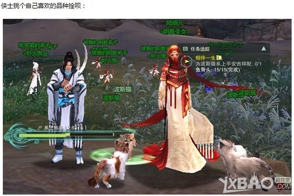 《剑网3》明教隐藏任务猫咪跟宠获取攻略
