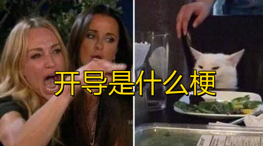 开导是什么梗