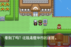 口袋妖怪漆黑的魅影5.0图文攻略