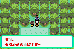 口袋妖怪漆黑的魅影4.5一周目全图文流程攻略完美版