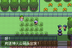 口袋妖怪漆黑的魅影5.0图文攻略