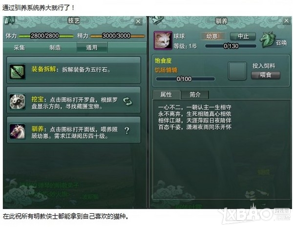 《剑网3》明教隐藏任务猫咪跟宠获取攻略