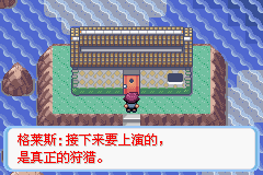 《口袋妖怪蛇纹木》二周目图文攻略