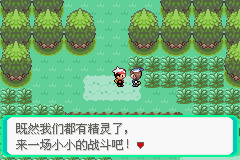 口袋妖怪漆黑的魅影4.5一周目全图文流程攻略完美版