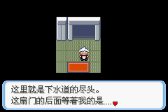《口袋妖怪蛇纹木》二周目图文攻略