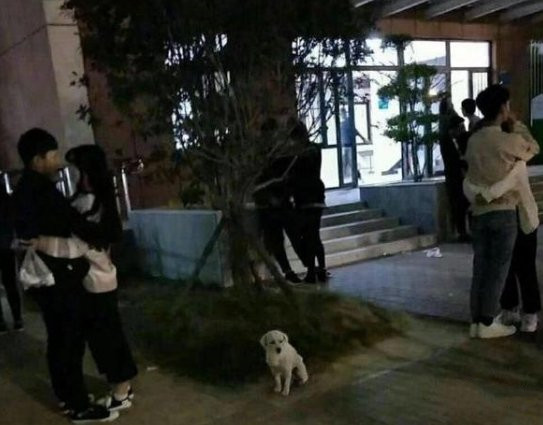 破防了梗介绍