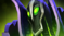 《DOTA2》6.84更新日志