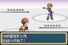 口袋妖怪火红2012图文流程攻略
