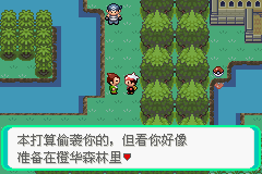 口袋妖怪漆黑的魅影4.5一周目全图文流程攻略完美版