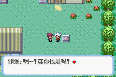 《口袋妖怪蛇纹木》二周目图文攻略