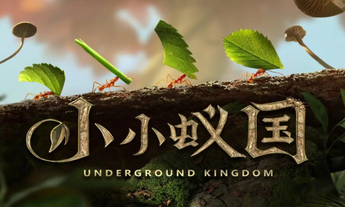 《小小蚁国》攻略合集