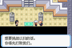 《口袋妖怪蛇纹木》二周目图文攻略