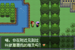 口袋妖怪漆黑的魅影5.0图文攻略