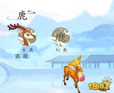 问道(坐骑阶位有什么差别(坐骑阶位介绍))