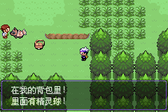 口袋妖怪漆黑的魅影5.0图文攻略