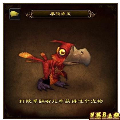 魔兽世界wow季鹍雏凤怎么得？季鹍雏凤获得方法、技能、外观图片欣赏