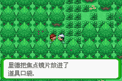 《口袋妖怪空之花神》二周目图文攻略
