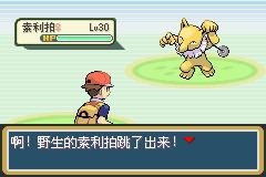 口袋妖怪火红2012图文流程攻略