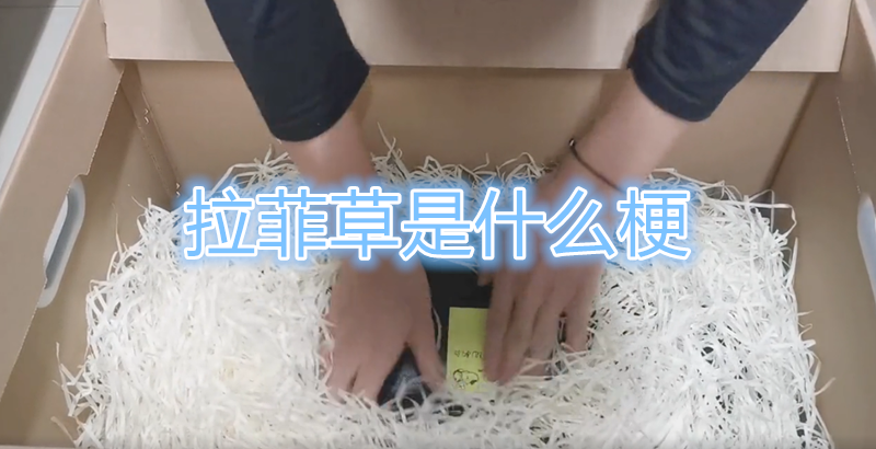 拉菲草是什么梗