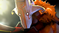 《DOTA2》6.84更新日志