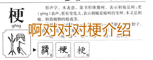 啊对对对梗介绍
