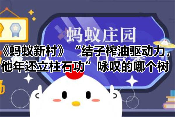 《蚂蚁新村》“结子榨油驱动力，他年还立柱石功”咏叹的哪个树