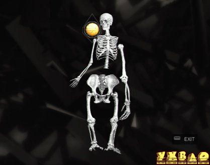 刺客信条2真相图文攻略