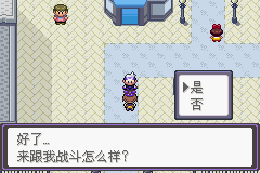 口袋妖怪漆黑的魅影5.0图文攻略