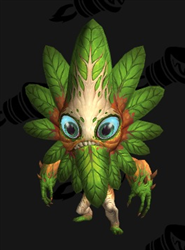 德拉诺之王新声望：热砂保护协会(为钱而战)