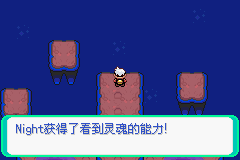 口袋妖怪漆黑的魅影4.5一周目全图文流程攻略完美版