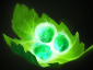 《DOTA2》6.84更新日志
