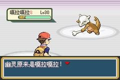 口袋妖怪火红2012图文流程攻略