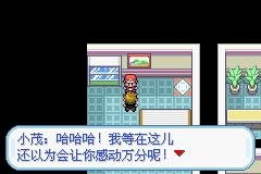 口袋妖怪火红2012图文流程攻略