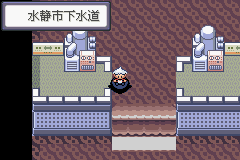 《口袋妖怪蛇纹木》二周目图文攻略