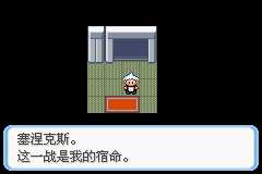 《口袋妖怪蛇纹木》二周目图文攻略