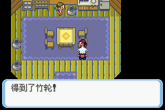 《口袋妖怪蛇纹木》二周目图文攻略