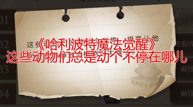 《哈利波特魔法觉醒》 这些动物们总是动个不停在哪儿