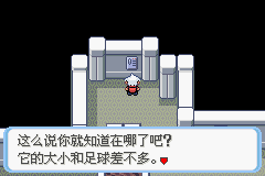 《口袋妖怪蛇纹木》二周目图文攻略
