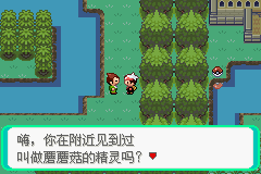 口袋妖怪漆黑的魅影4.5一周目全图文流程攻略完美版