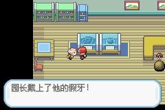 口袋妖怪火红2012图文流程攻略
